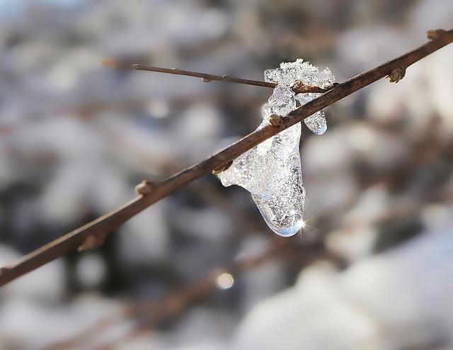 Jak postupovat při rozmrazování motoru