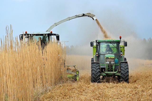 Jaký vliv má biopalivo na výkon a spotřebu Fabie