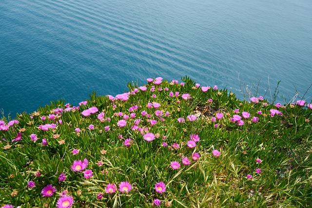 Environmentální dopad a udržitelnost tohoto vozidla