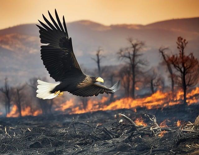 Klimatické podmínky: Jak počasí ovlivňuje smyk