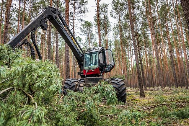 Alternativy k tradičním metodám výuky: ⁢Moderní ​přístupy