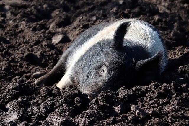 Postoj k ekologii a udržitelnému řízení v autoškole